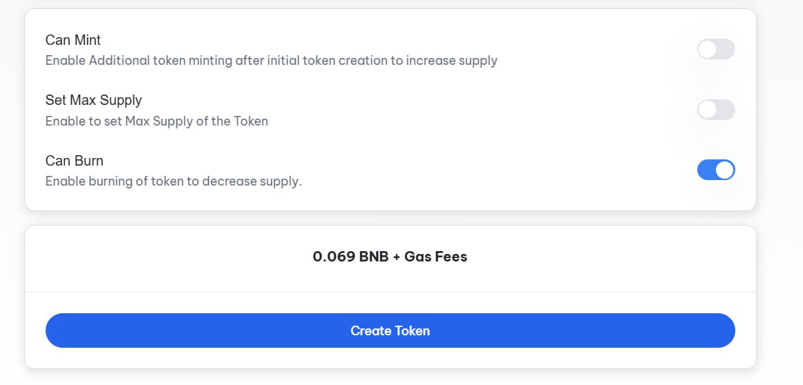 confirm your token creation on bnb chain